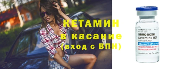 стафф Новодвинск