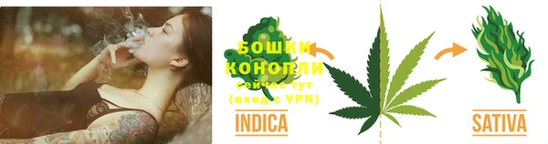 крисы Нягань