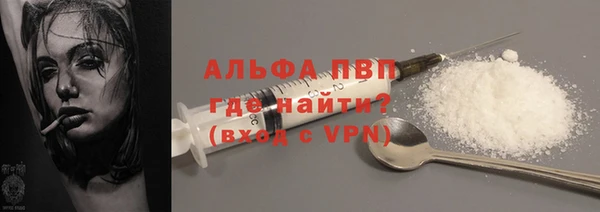 стафф Новодвинск