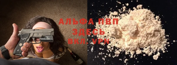 Альфа ПВП Няндома