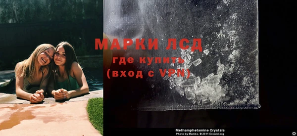 стафф Новодвинск