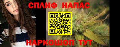 бошки Дубна