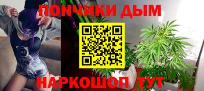 бошки Дубна