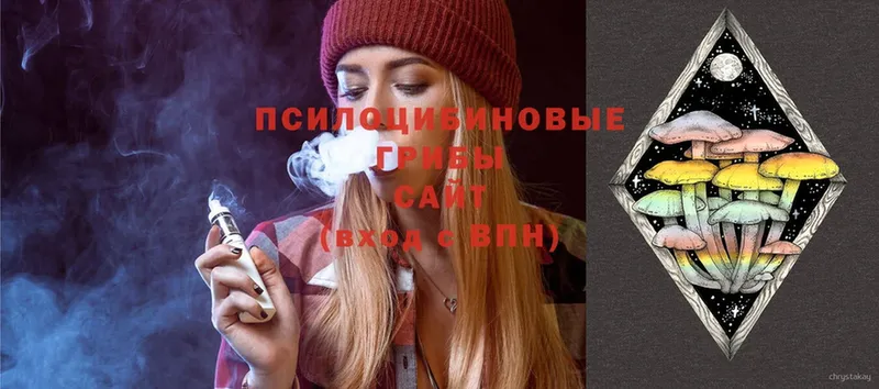 Псилоцибиновые грибы Magic Shrooms  Электрогорск 