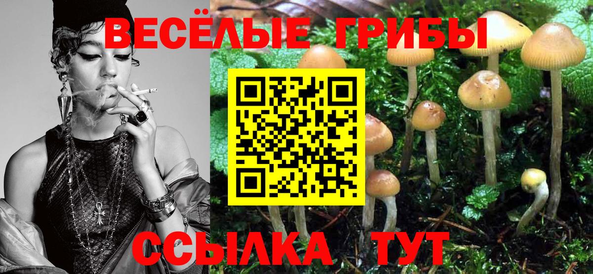 Электрогорск  Псилоцибиновые грибы GOLDEN TEACHER  Вход с VPN 