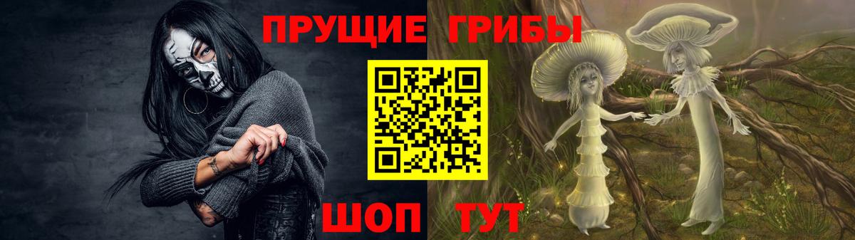 Галлюциногенные грибы прущие грибы Электрогорск